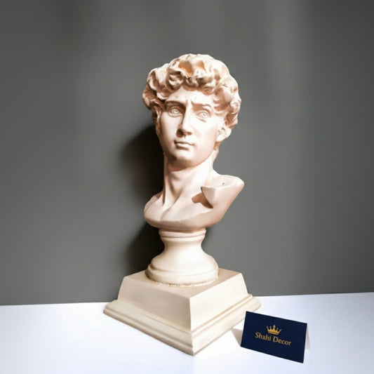 Classical Michelangelo’s David Sculptural Bust