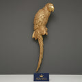 Luxury Gold Parrot Wall Sculpture